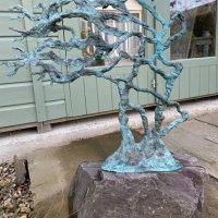 The Old Knarly Tree