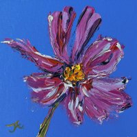 Cosmos